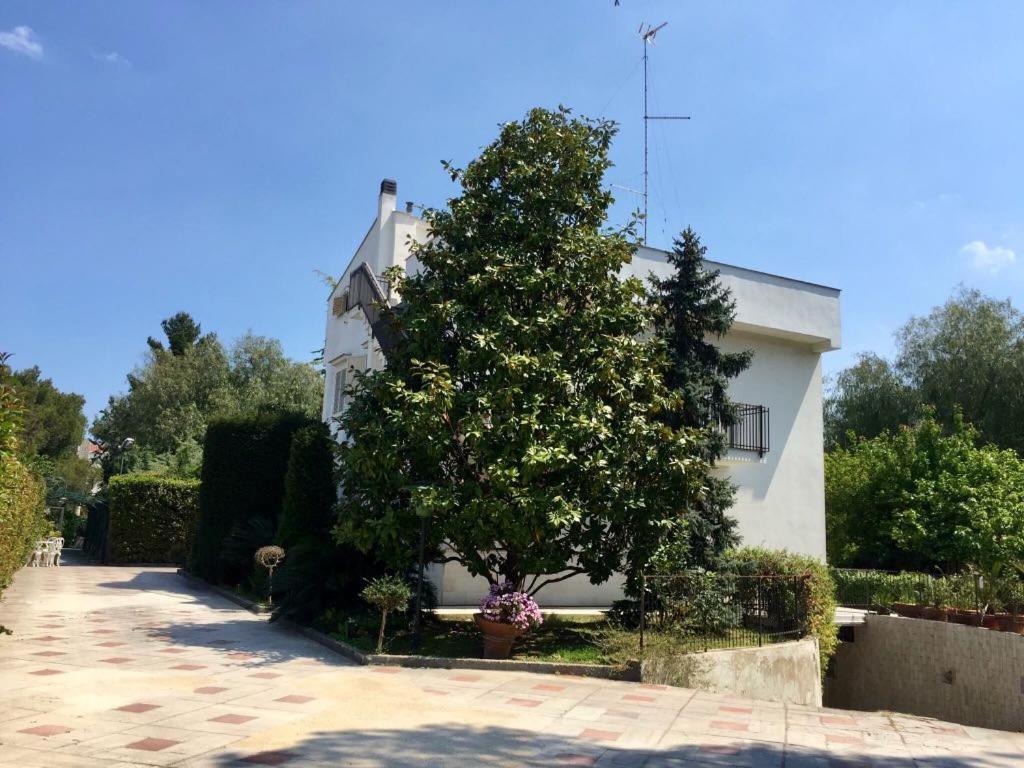باري B&B Amendola المظهر الخارجي الصورة